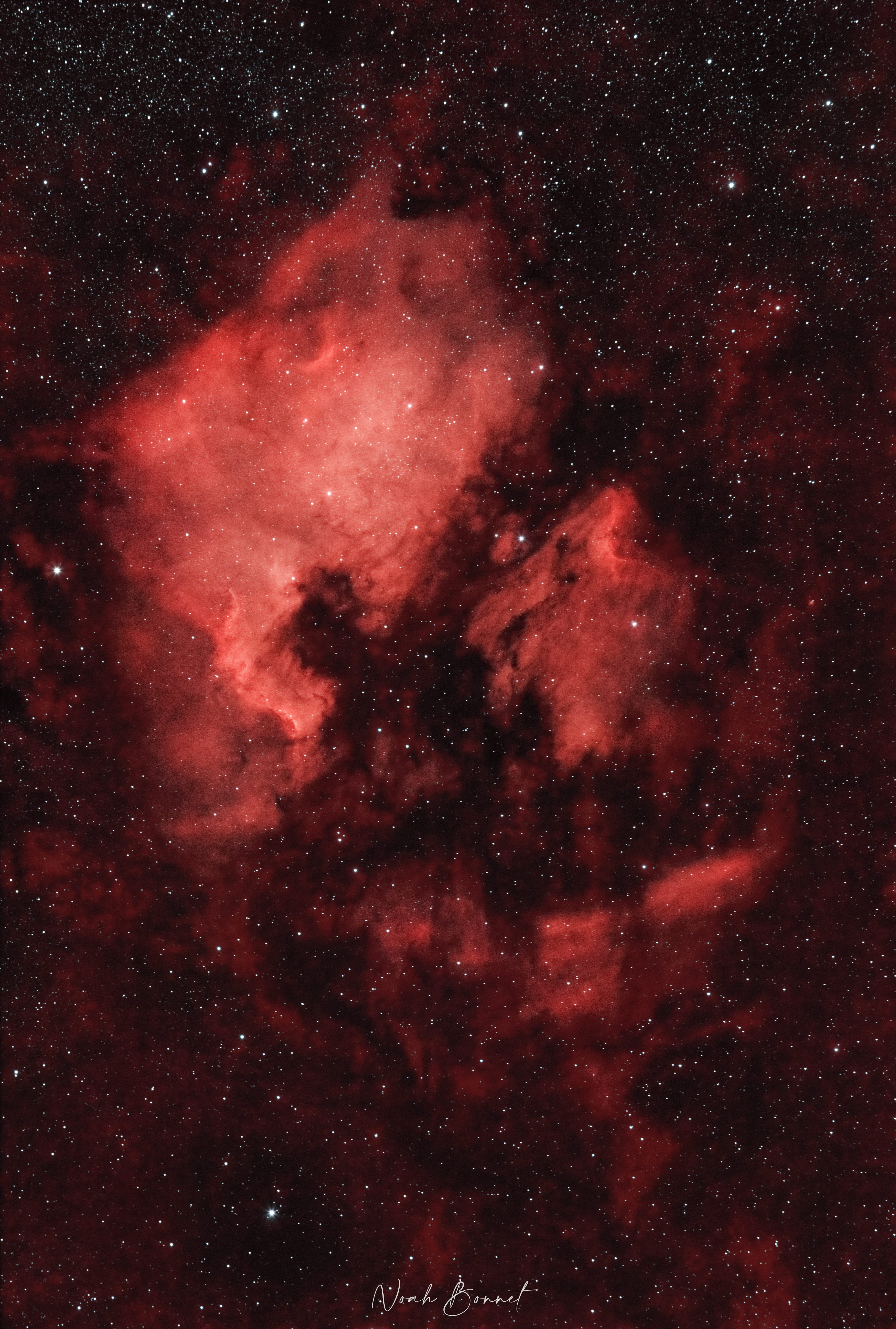 NGC 7000